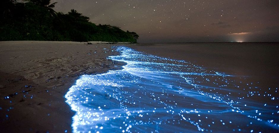 Holbox-bioluminiscent-sea