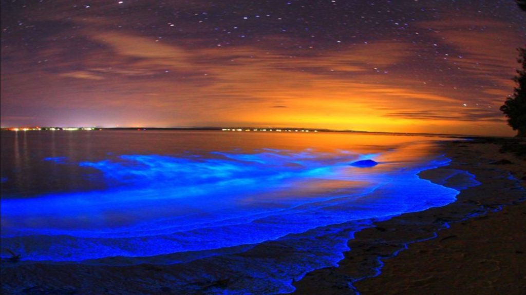 Sunset and bioluminescence in Holbox