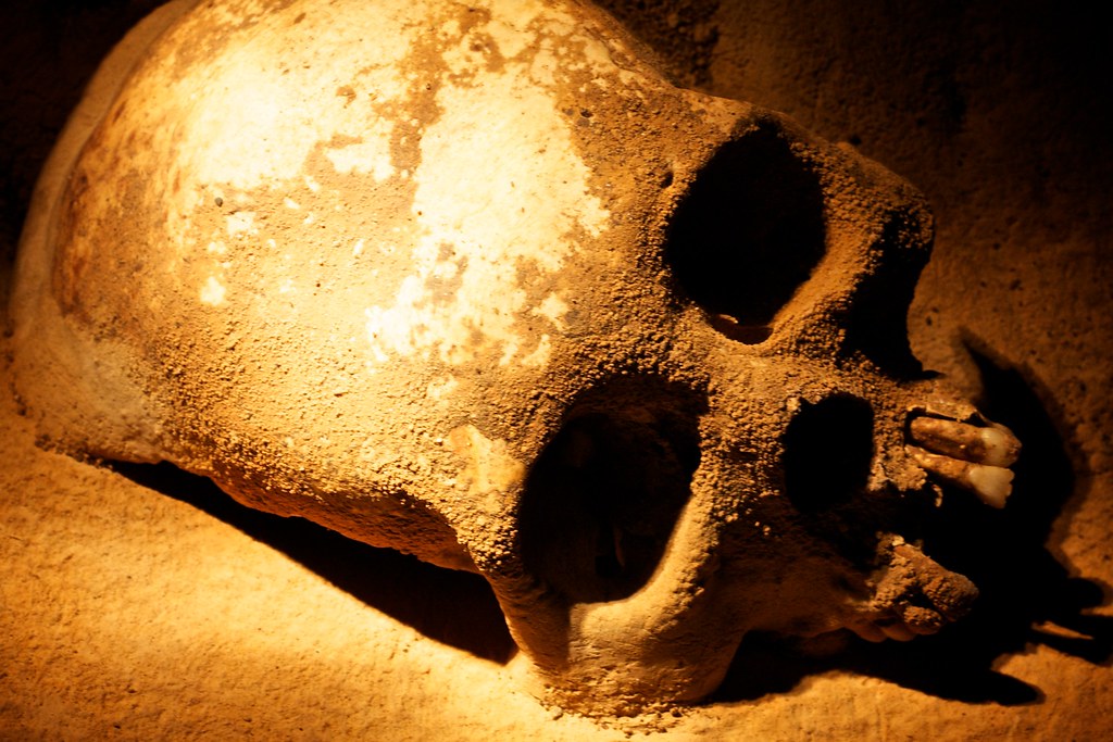 Human remains from ancient Mayans