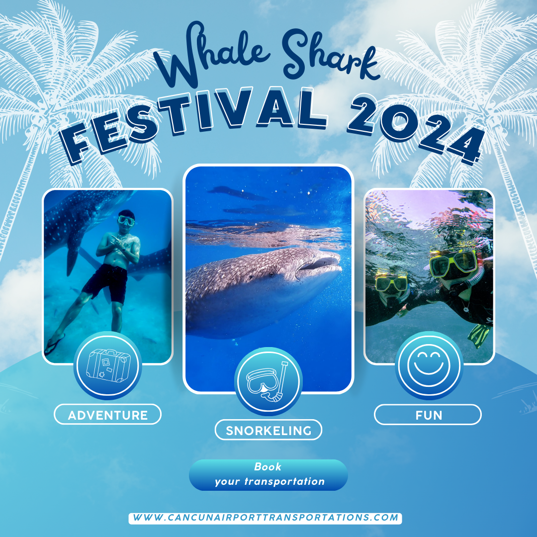 Whale Shark Festival 2024 in Isla Mujeres