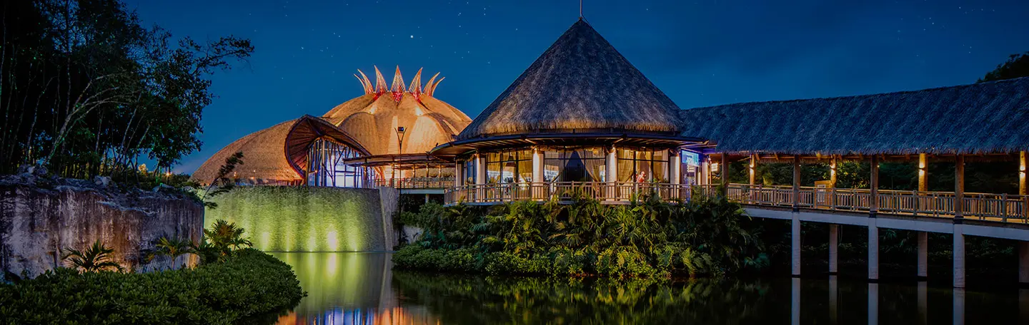 Vidanta, Cirque Du Soleil at Riviera Maya
