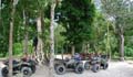 the best hummer jungle tour in cancun