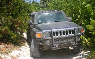 the best hummer tour in cancun