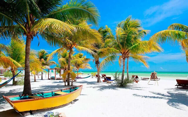 Many palm trees at a beach of Holbox island. One of the destinations available for Cancun Airport Transportation
