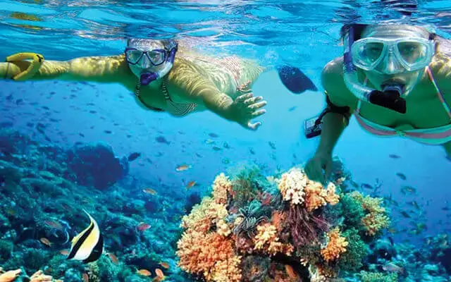 Cancun Snorkeling Tour